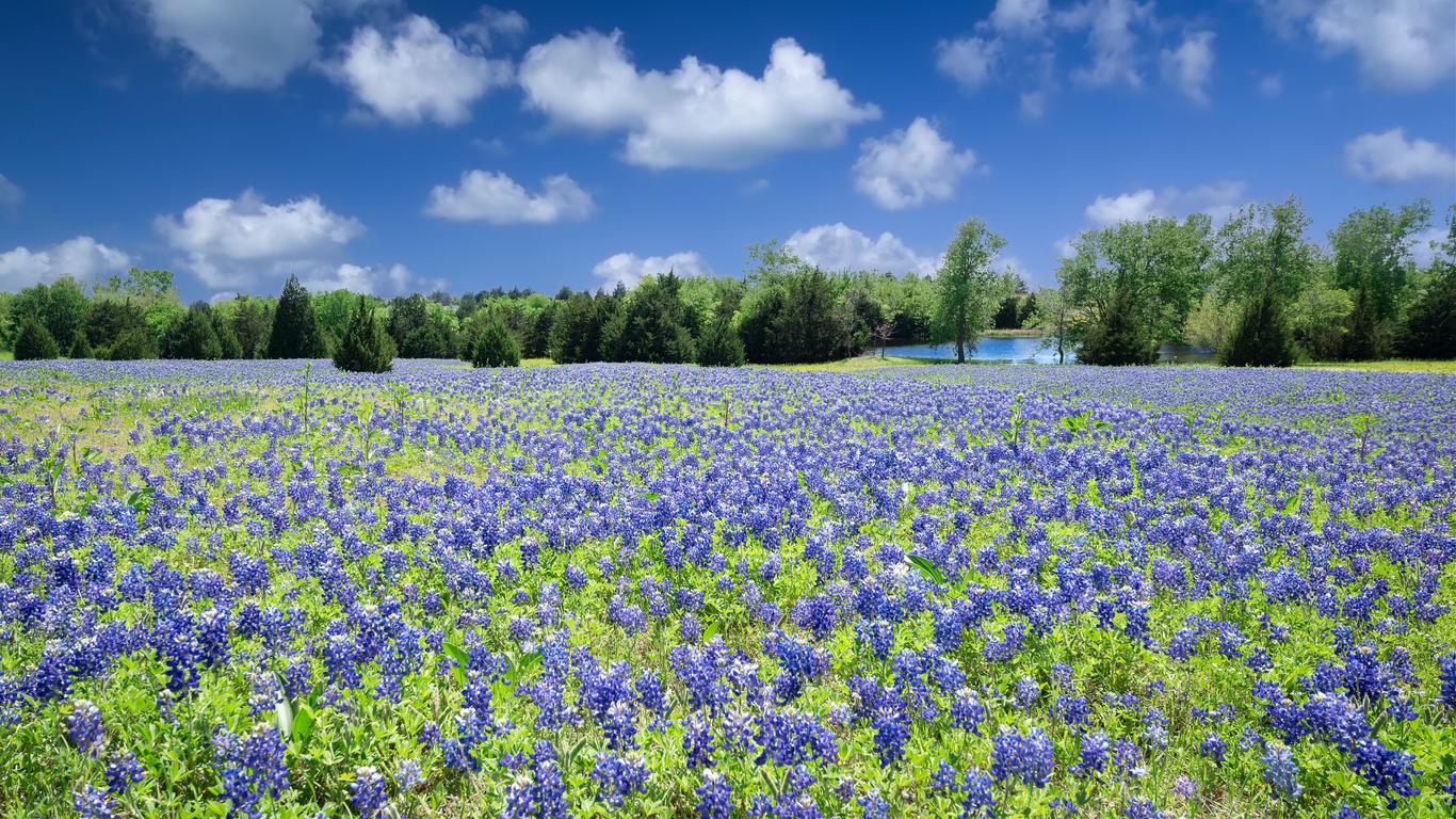 Voos para Texas