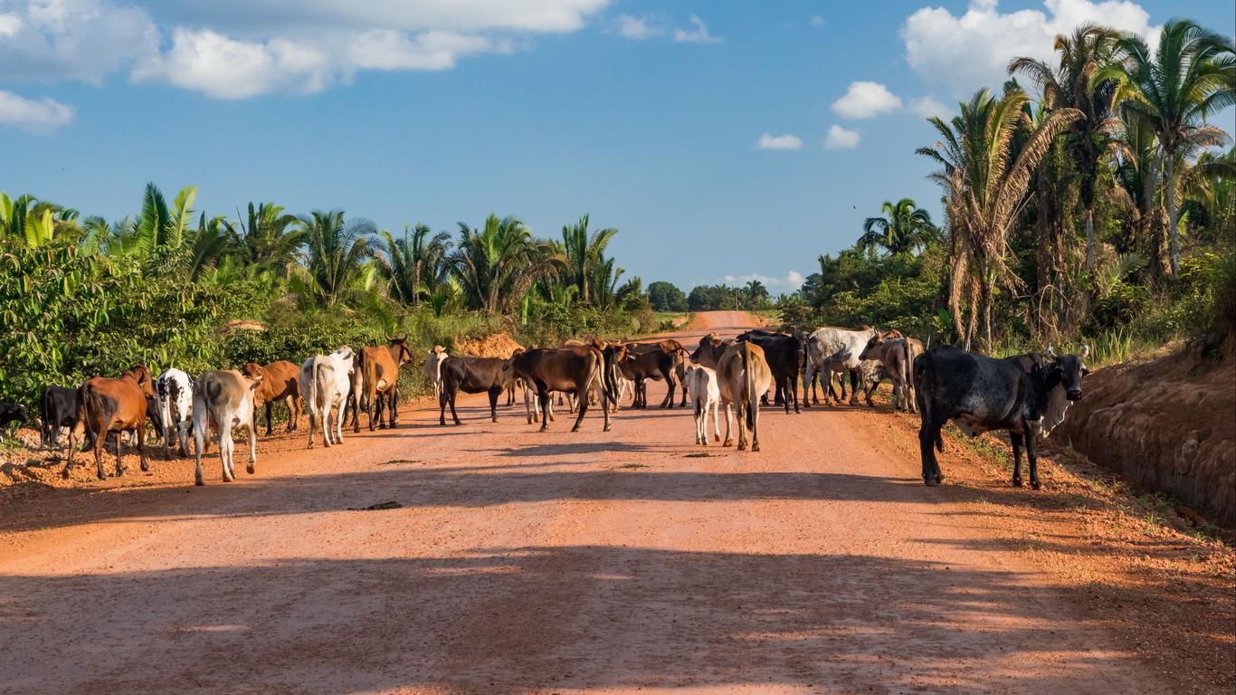 Voos para Rondônia