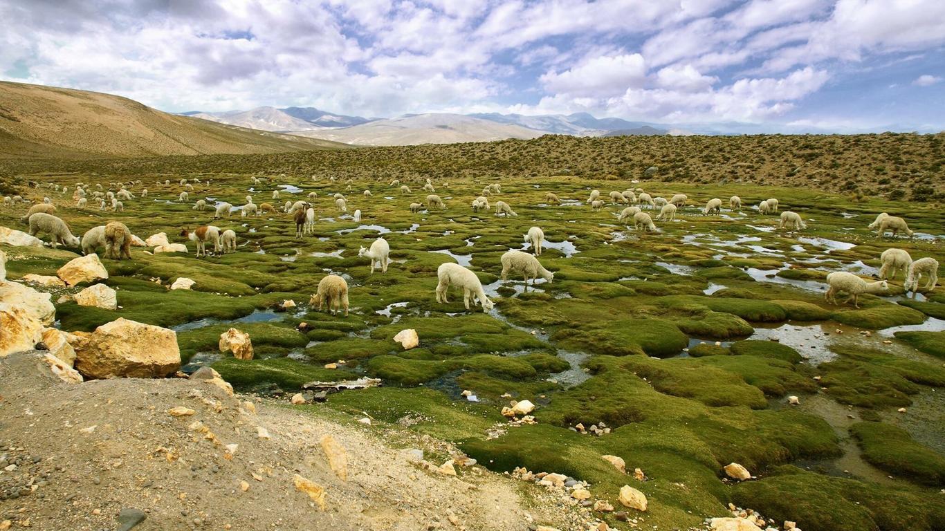 Voos para Atacama