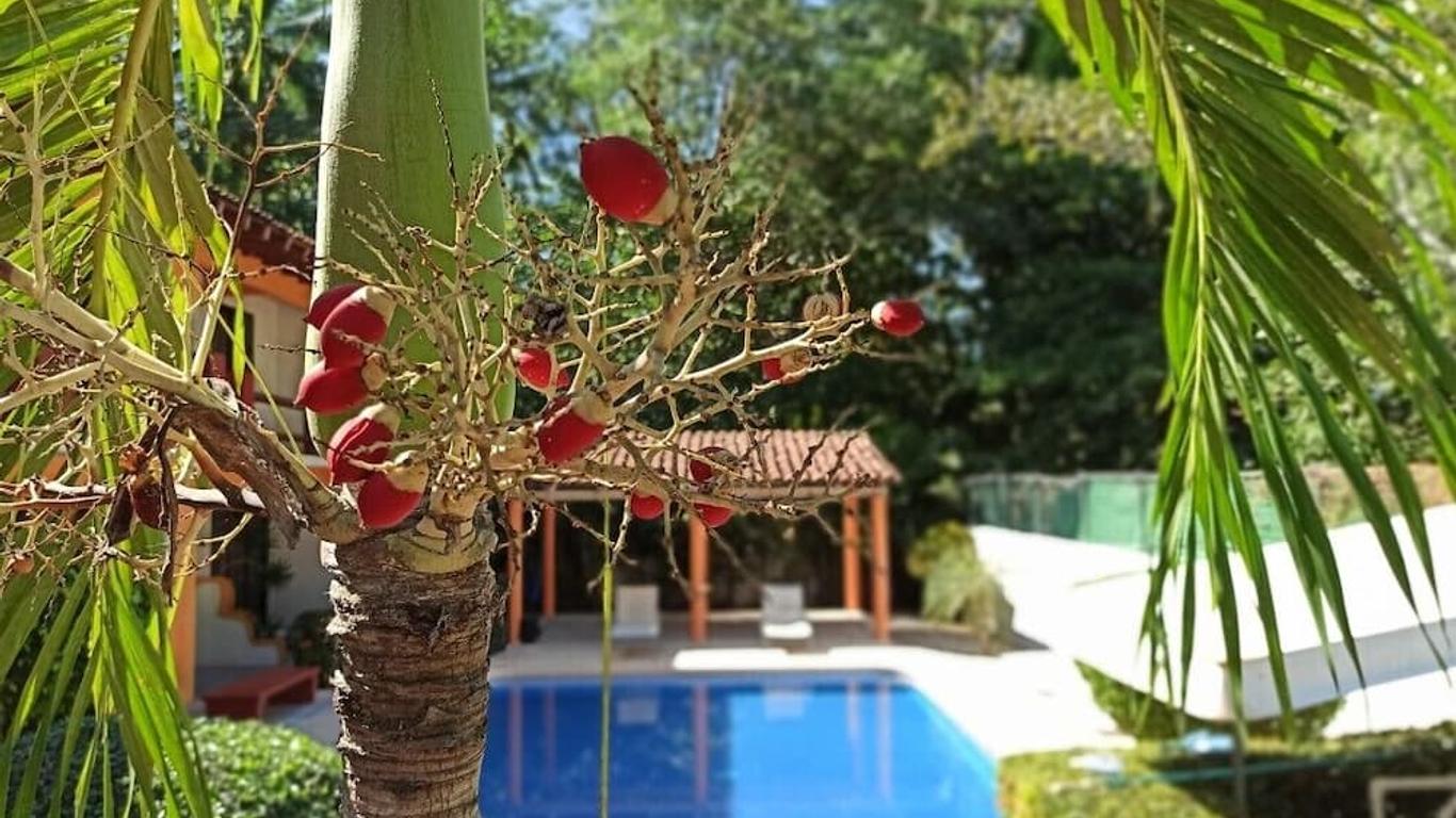 Foto principal