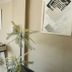 Comodidade do quarto