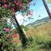 Vista externa