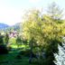 Vista externa