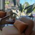 Outros