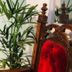 Comodidade do quarto