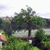 Vista externa