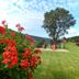 Vista externa